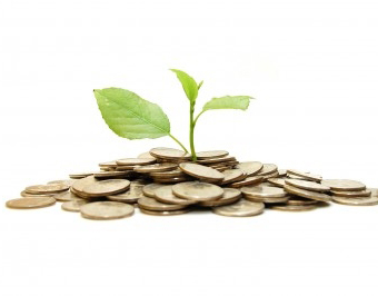 Wealth Creation